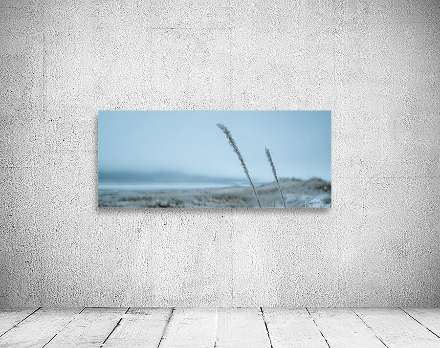 RESILIENCE Wall Preview